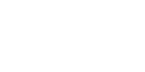 Digital Commerce Award